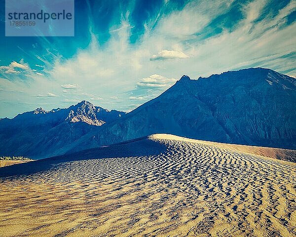 Vintage Retro-Effekt gefiltert Hipster-Stil Bild der Sanddünen im Nubra-Tal im Himalaya. Hunder  Nubra-Tal  Ladakh