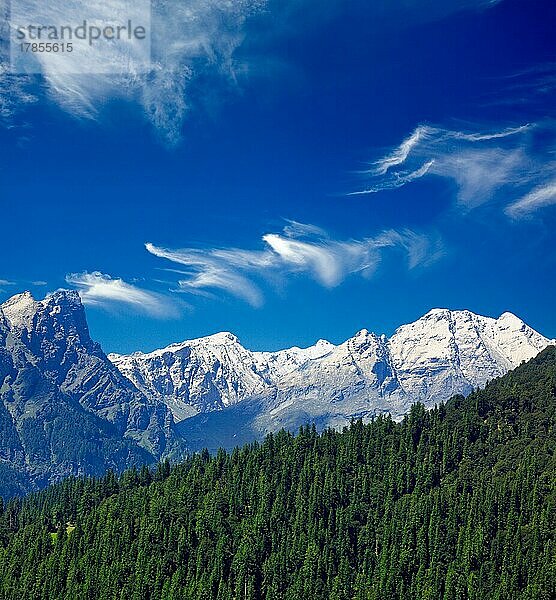 Himalaya und Wald. Indien