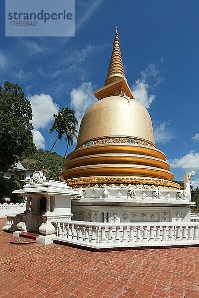 Buddhistische Dagoba (Stupa) in Nahaufnahme im Goldenen Tempel  Dambulla  Sri Lanka  Asien