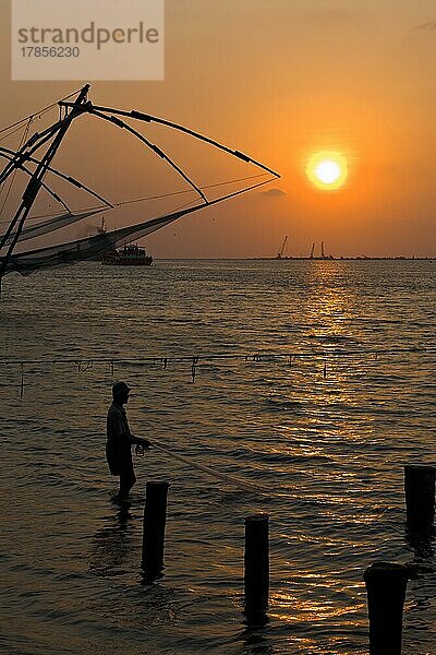 Fischer und Kochi chinesische Fischnetze bei Sonnenuntergang. Fort Kochin  Kochi  Kerala  Indien  Asien