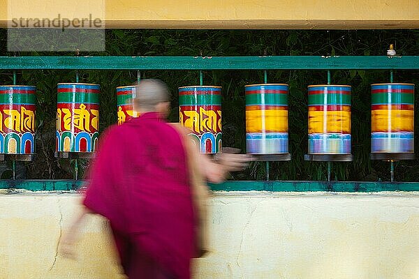 Buddhistischer Mönch  der die Gebetsmühlen auf der Kora um den Tsuglagkhang-Komplex in McLeod Ganj  Himachal Pradesh  Indien  passiert und dreht  Asien