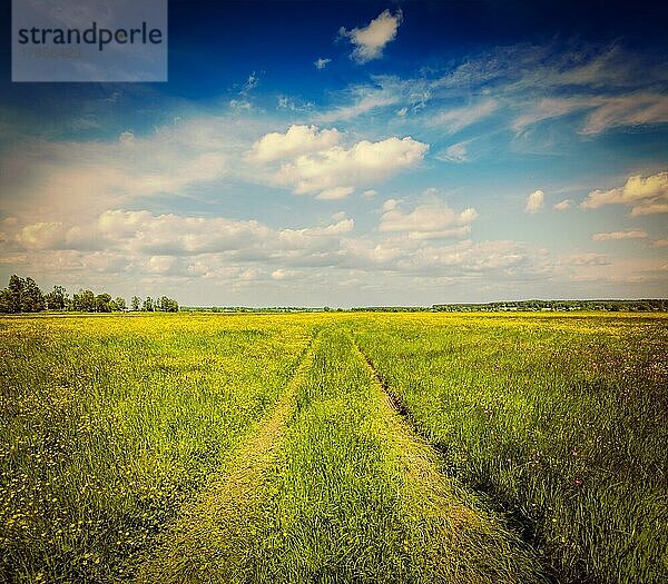 Vintage Retro-Hipster-Stil Reise Bild des Frühlings Sommer Hintergrund  ländliche Straße im grünen Gras Feld Wiese Landschaft Landschaft mit blauem Himmel