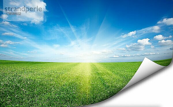Sonne und grünes frisches Gras Feld blauer Himmel mit gefalteten Ecke copyspace