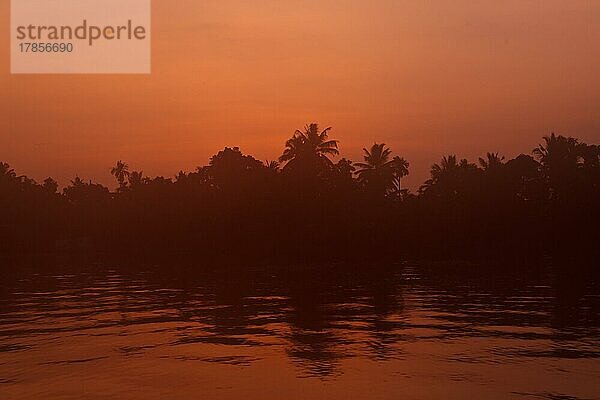 Sonnenaufgang in den Backwaters von Kerala. Kerala  Indien  Asien