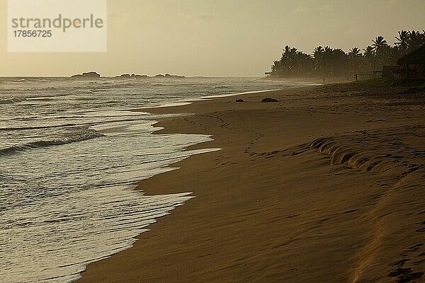 Tropischer Sonnenuntergang über dem Meer. Sri Lanka