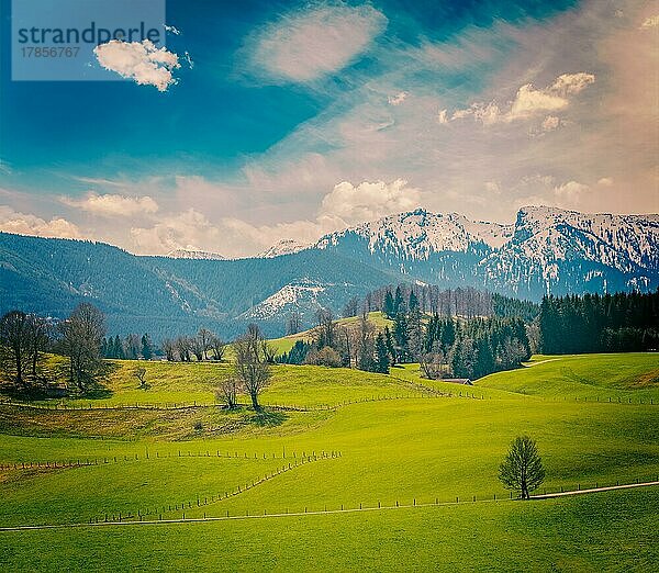 Deutsche idyllische Landschaft im Frühling mit den Alpen im Hintergrund. Bayern  Deutschland  Europa