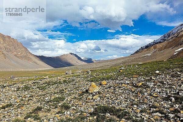 Spiti-Tal im Himalaya. Himachal Pradesh  Indien  Asien