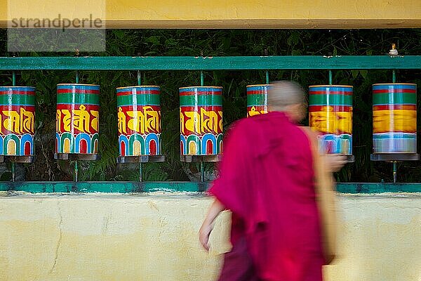 Buddhistischer Mönch  der die Gebetsmühlen auf der Kora um den Tsuglagkhang-Komplex in McLeod Ganj  Himachal Pradesh  Indien  passiert und dreht  Asien
