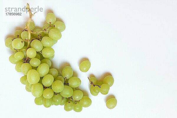 Weisse Weintrauben (Vitis vinifera) vor hellem Hintergrund  Frucht  Obst