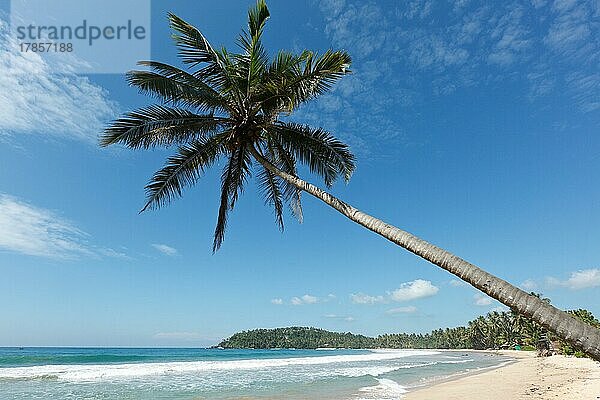 Tropisches Paradies - idyllischer Strand mit Palmen. Sri Lanka