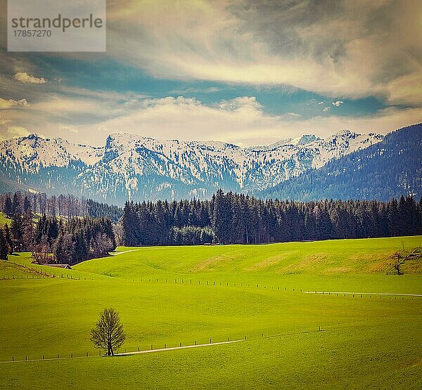 Vintage Retro-Hipster-Stil Reise Bild der deutschen idyllischen pastoralen Landschaft im Frühjahr mit Alpen im Hintergrund. Bayern  Deutschland  Europa