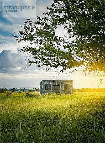 Ein verlassenes Haus auf dem Feld bei Sonnenuntergang  Blick auf ein einsames und verlassenes Haus mitten im Gras  Kleines verlassenes Haus im Wald  Landschaft mit einem verlassenen Haus bei Sonnenuntergang