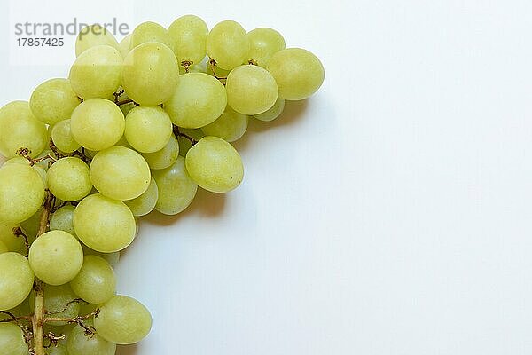 Weisse Weintrauben (Vitis vinifera) vor hellem Hintergrund  Frucht  Obst