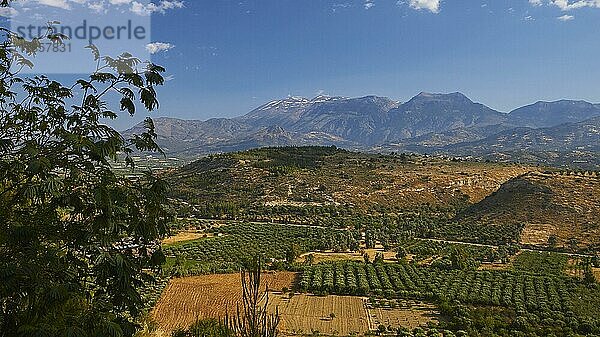 Morgenlicht  Blauer Himmel  weiße Wolken  Messara-Ebene  Olivenhaine  Felder  Ida-Massiv  Minoischer Palast von Festos  Messara-Ebene  Zentralkreta  Insel Kreta  Griechenland  Europa