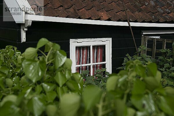 Fenster eines traditionellen Holzhauses  Amsterdam  Niederlande  Europa