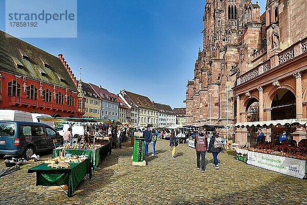 Täglicher Markt mit lokalen Produkten auf dem Münsterplatz mit hohem Münstergebäude im Stadtzentrum  Freiburg  Deutschland  Europa