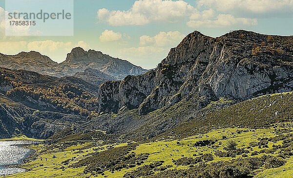 Schafherde mit See Nationalpark Los Picos Spanien