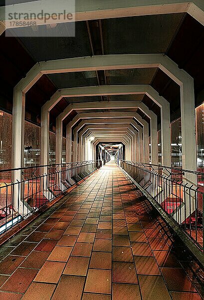 Bei Nacht auf der futuristischen Brücke über die Bahngleise  Sindelfingen  Deutschland  Europa