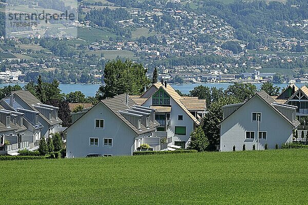 Wohnquartier Mehrfamilienhäuser  Horgen  Schweiz  Europa