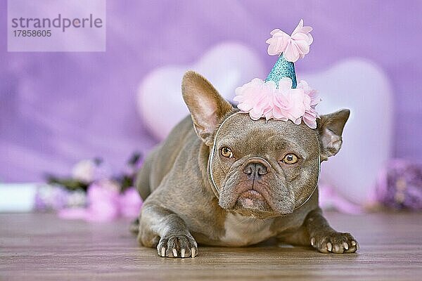 Französische Bulldogge Hund mit Geburtstag Teil Hut vor verschwommenen rosa Hintergrund mit Blumen und herzförmigen Luftballons