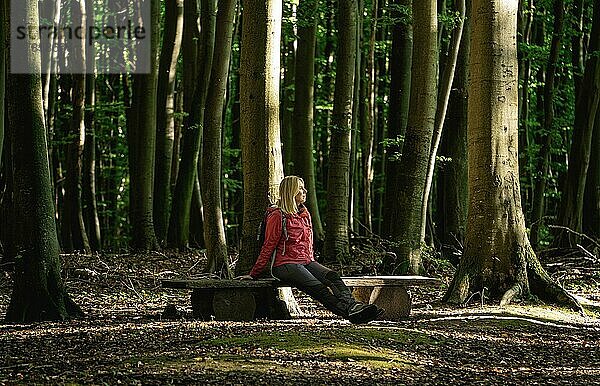 Frau in rot sitzt auf einem Bank im Nationalpark Jasmund  Insel Rügen  Deutschland  Europa