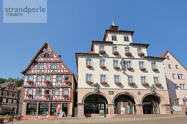 Fachwerkhaus mit Touristinformation und Rathaus am Marktplatz in Calw  Nagoldtal  Nordschwarzwald  Schwarzwald  Baden-Württemberg  Deutschland  Europa