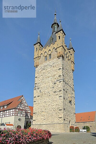 Blauer Turm erbaut 1200 und Wahrzeichen von Bad Wimpfen  Neckartal  Kraichgau  Baden-Württemberg  Deutschland  Europa