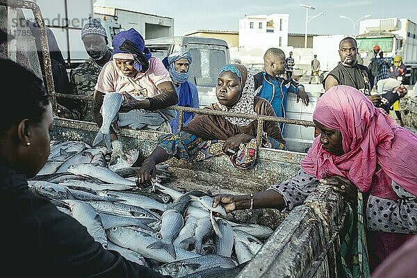 Frauen kaufen Fisch von der Ladefläche eines Lastwagens oder suchen Beifang  Port de Pêche Traditionelle  Nouadhibou  Mauretanien  Afrika