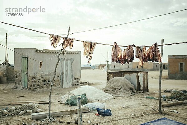 Nouamghar  Trockenfisch auf der Leine  Fischerdorf am Atlantik  Mauretanien  Afrika