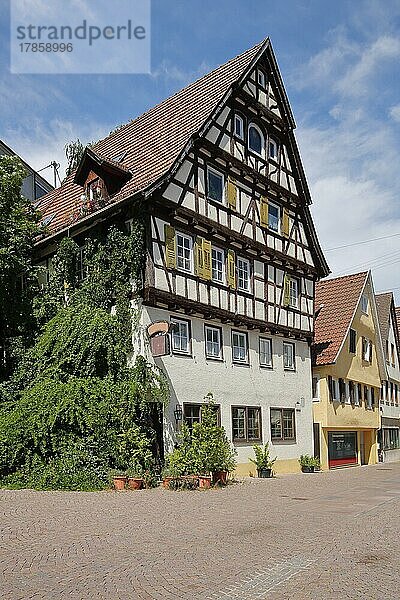 Fachwerkhaus in der Badstraße in Calw  Nagoldtal  Nordschwarzwald  Schwarzwald  Baden-Württemberg  Deutschland  Europa