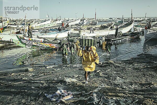 Ankunft der Fischer mit dem Fang des Tages im Hafen  große Trawler der Fischmehlfabriken fischen das Meer vor der Küste leer  den traditionellen Fischern bleibt immer weniger  Port de Pêche Traditionelle  Nouadhibou  Mauretanien  Afrika