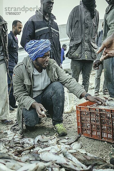 Abdu Shekh  Fischer aus Nouadhibou mit seinem Tagesfang  Port de Pêche Traditionelle  Nouadhibou  Mauretanien  Afrika