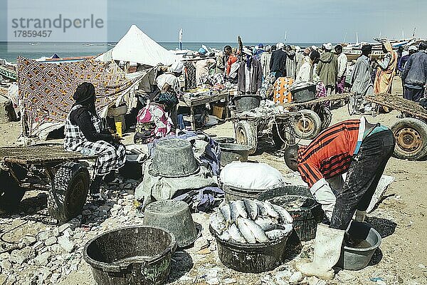 Traditioneller Fischereistrand  Plage des Pêcheurs Traditionnels  Ankunft der Fischerboote  Nouakchott  Mauretanien  Afrika