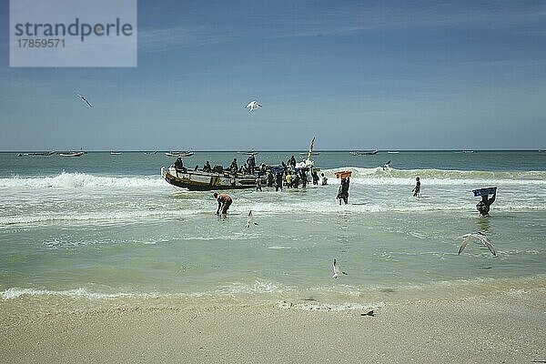 Traditioneller Fischereistrand  Plage des Pêcheurs Traditionnels  Ankunft der Fischerboote  Nouakchott  Mauretanien  Afrika