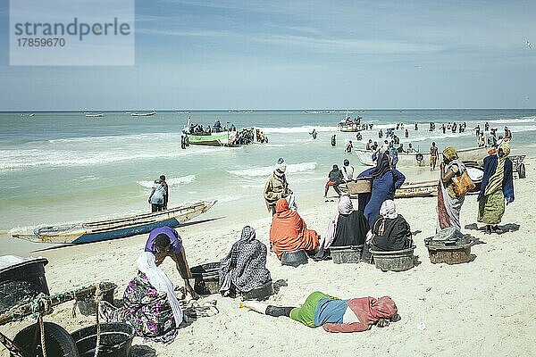 Traditioneller Fischereistrand  Plage des Pêcheurs Traditionnels  Ankunft der Fischerboote  Nouakchott  Mauretanien  Afrika