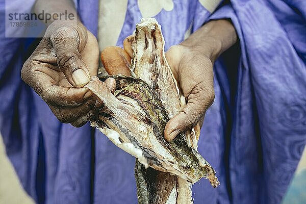 Trockenfisch  Nouamghar  Mauretanien  Afrika