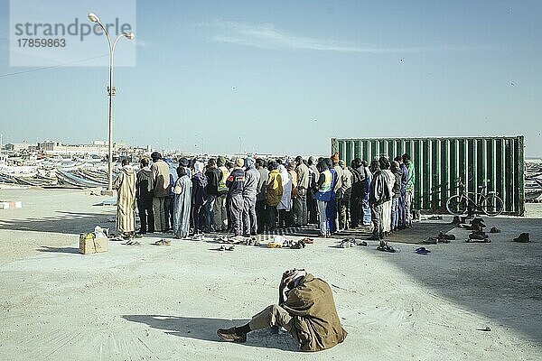 Hafenarbeiter beim Abendgebet  Port de Pêche Traditionelle  Nouadhibou  Mauretanien  Afrika