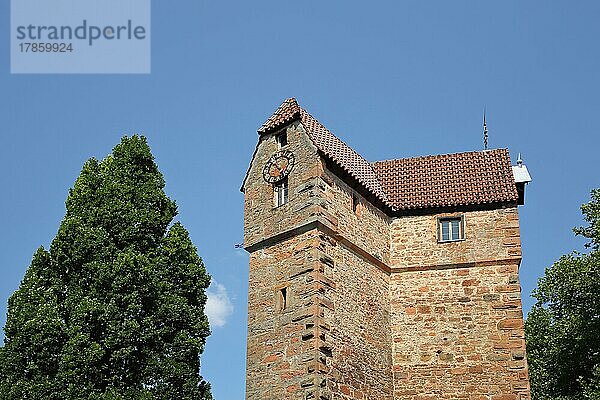 Wahrzeichen Pulverturm in Eberbach  Neckartal  Baden-Württemberg  Deutschland  Europa