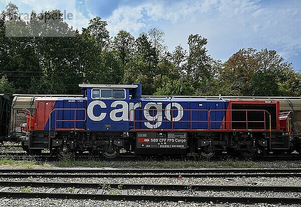 SBB Lokomotive Cargo  Schweiz  Europa