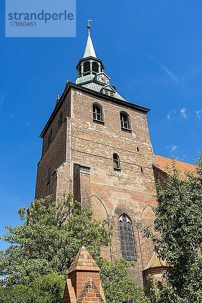 St. Michaelskirche  Lüneburg  Niedersachsen  Deutschland  Europa