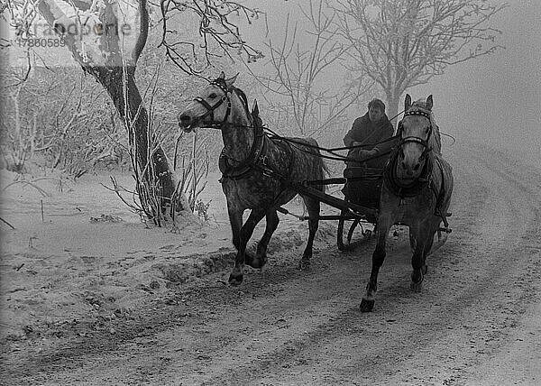 CSSR  Stephansruh  29. 12. 1986  Pferdeschlitten  Isergebirge  verschneite Landschaft