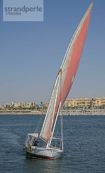 Segelschiff  Feluke  Ausflugsboot  Luxor  Ägypten  Afrika