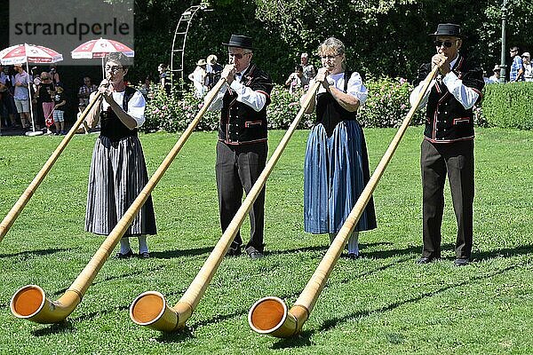 Alphornbläser  Interlaken  Schweiz  Europa