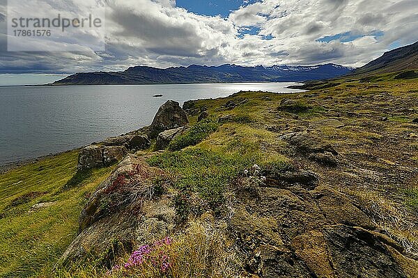 Hamrasfjördur  Ostisland  Island  Europa