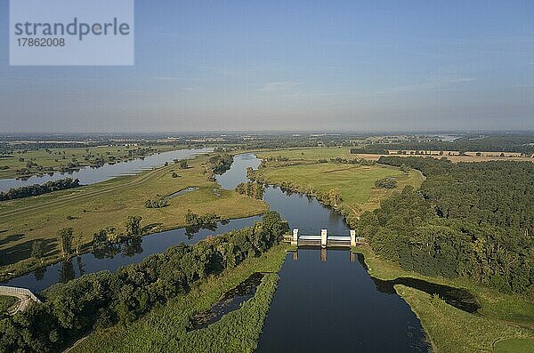 Luftaufnahme von Havel und Gnevsdorfer Vorfluter im Bereich der Havelmündung. Im Hintergrund die Elbe und die Elbaue im UNESCO Biosphärenreservat Flusslandschaft Elbe  Havel-Wehr  Quitzöbel  Sachsen-Anhalt  Deutschland  Europa