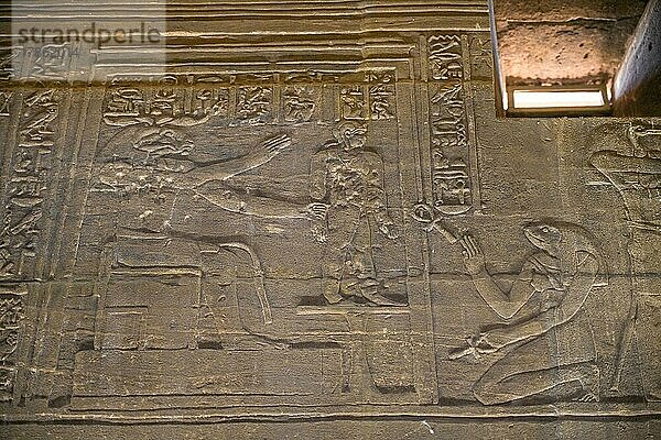 Flachrelief mit Ritualszenen im Isis-Tempel  Tempelanlage Philae  Assuan  Ägypten  Afrika
