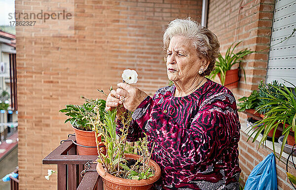 Ältere Frau kümmert sich um Pflanzen in ihrem Haus