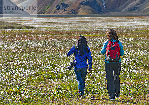 Freundinnen wandern in Landmannalaugar / Island