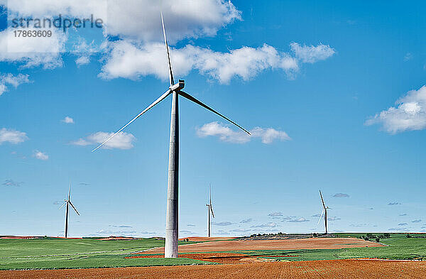 Windmühlen bei der Erzeugung grüner Energie.