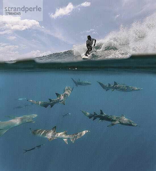 Asiatischer Surfer auf einer Welle an einem sonnigen Tag